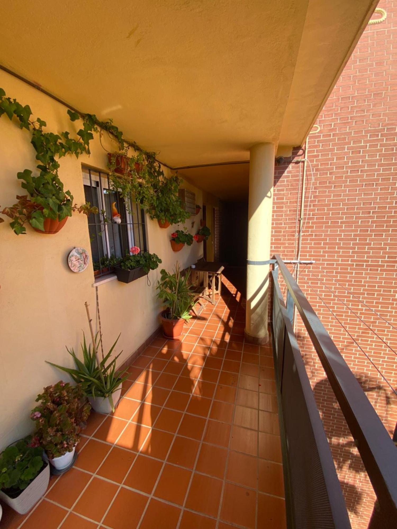 贝纳尔马德纳Apartamento Arroyo De La Miel Costa Del Sol公寓 外观 照片